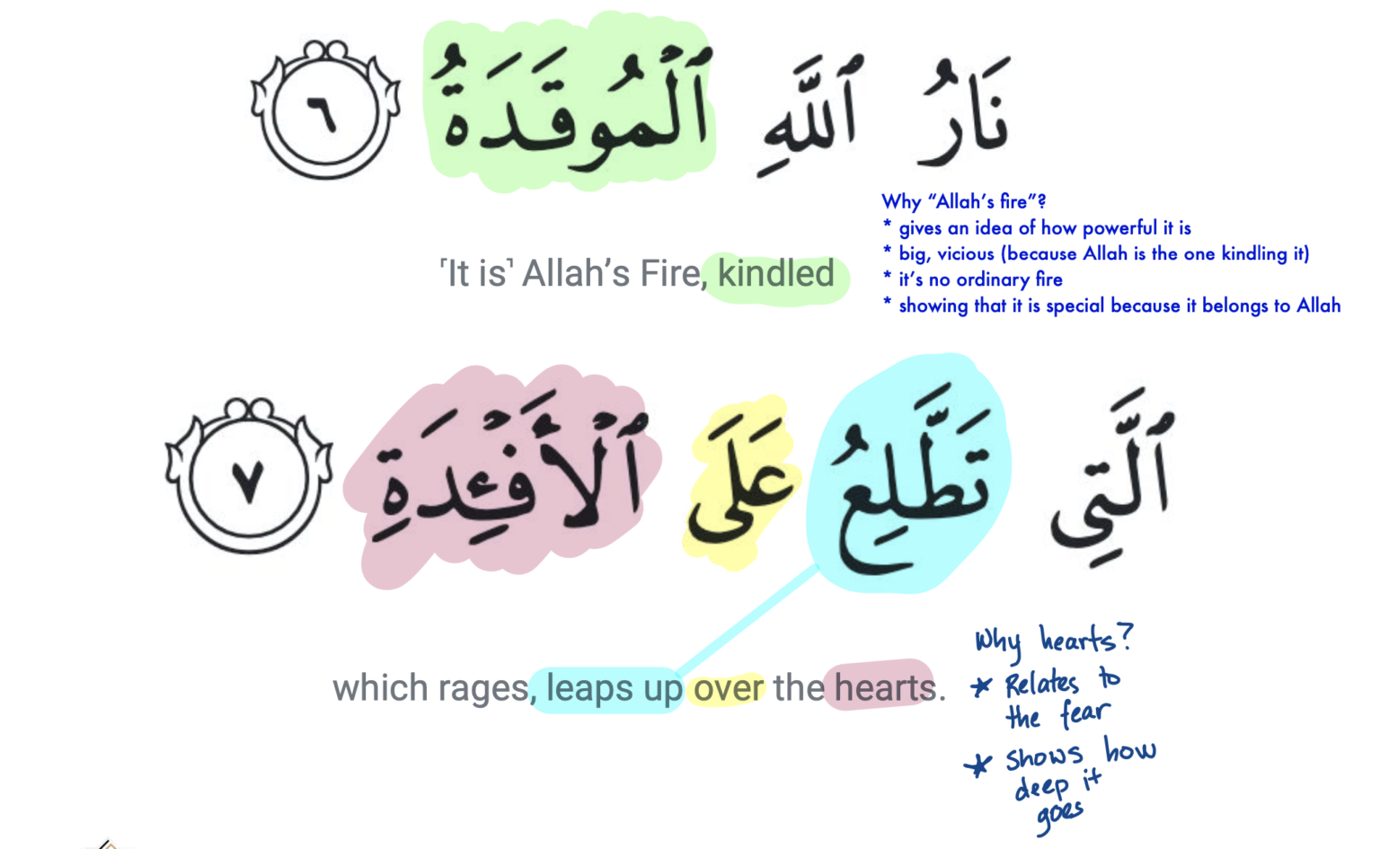 Screen Shot 2024-01-24 at 11.06.13 PM